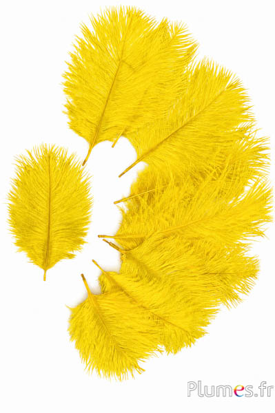 Struzzo Bellies - 8-13 cm - giallo-grigi